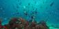 The_Atolls_102918_238KB_100113