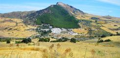 Other places to stay in Andalucia