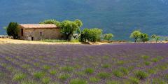 Other places to stay in France Other places to stay in France