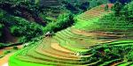 Hanoi__North_12548_86KB_280809