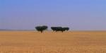 Alentejo_13072_50KB_090909