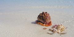 Other places to stay in Zanzibar Other places to stay in Zanzibar