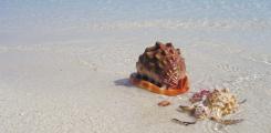 Other places to stay in Zanzibar Other places to stay in Zanzibar