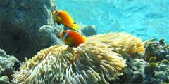 Other places to stay in Zanzibar Other places to stay in Zanzibar