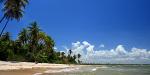Bahia_13380_97KB_140909