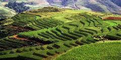 Other places to stay in Vietnam Other places to stay in Vietnam