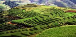 Other places to stay in Vietnam Other places to stay in Vietnam