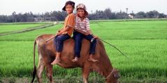 Other places to stay in Vietnam Other places to stay in Vietnam