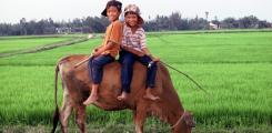 Other places to stay in Vietnam Other places to stay in Vietnam