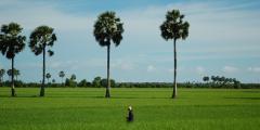 Other places to stay in Cambodia Other places to stay in Cambodia