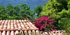 Other places to stay in Mallorca