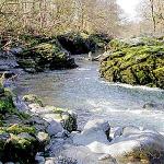 A Corner of Eden, United Kingdom, Fishing stream