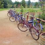 Matetic Vineyards Guesthouse, Chile