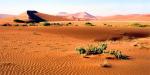 Tailormade Safaris - Namibia, Namibia