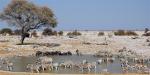 Tailormade Safaris - Namibia, Namibia