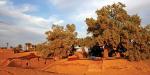 Tailormade Tours - Morocco, Morocco, Bivouac in M'Hamid