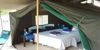 Standard Tent
