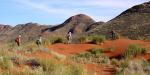Tailormade Safaris - Namibia, Namibia
