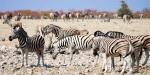 Mowani Mountain Camp, Namibia