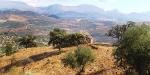 Fountainhead, Spain