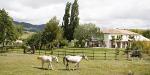 La Huerta El Noque, Spain
