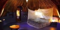 Honey Pod