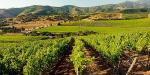 Matetic Vineyards Guesthouse, Chile