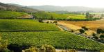Matetic Vineyards Guesthouse, Chile