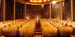 Matetic Vineyards Guesthouse, Chile