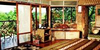Tree Villa
