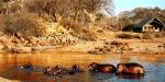 Ruaha River Lodge, Tanzania