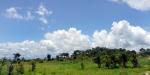 Tailormade Safaris - Southern Tanzania, Tanzania, Mikumi