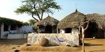 Tailormade Tours - Northern India, India, Bishnoi Village