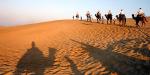 Tailormade Tours - Northern India, India, Camels, Rajasthan