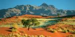 Tailormade Safaris - Namibia, Namibia