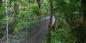 Arenal__Monteverde_50065_117KB_121109