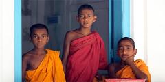 Other places to stay in Sri Lanka