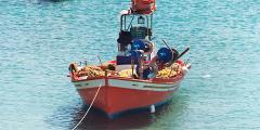 Other places to stay in Cyclades Islands