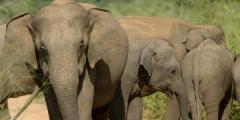 Other places to stay in Sri Lanka Other places to stay in Sri Lanka