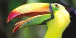 Pacuare Lodge, Costa Rica