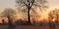Brittany_51584_98KB_271109