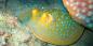 Koh_Samui_51880_98KB_031209