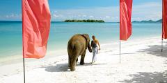Other places to stay in Thailand