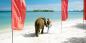 Koh_Samui_51883_98KB_031209