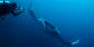 Koh_Lanta_and_Koh_Kradan_51895_96KB_031209
