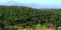 Garden_Route__Eastern_Cape_51918_96KB_031209
