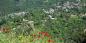 Pelion_51939_100KB_031209