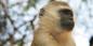 Madikwe_52058_98KB_041209