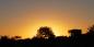Madikwe_52059_96KB_041209