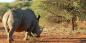 Madikwe_52064_98KB_041209